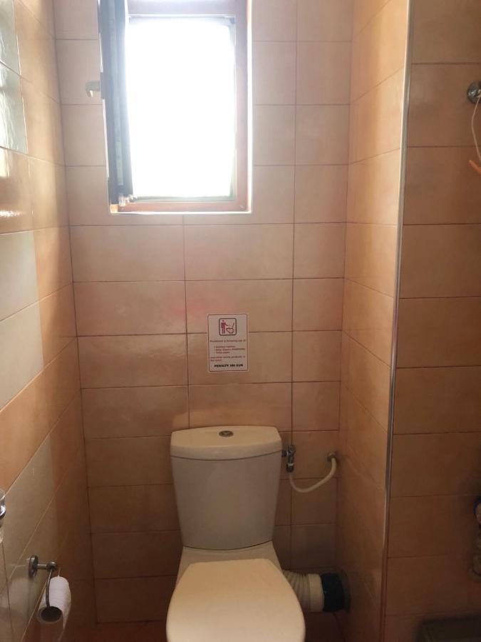 Black Sea Shark Apartament *